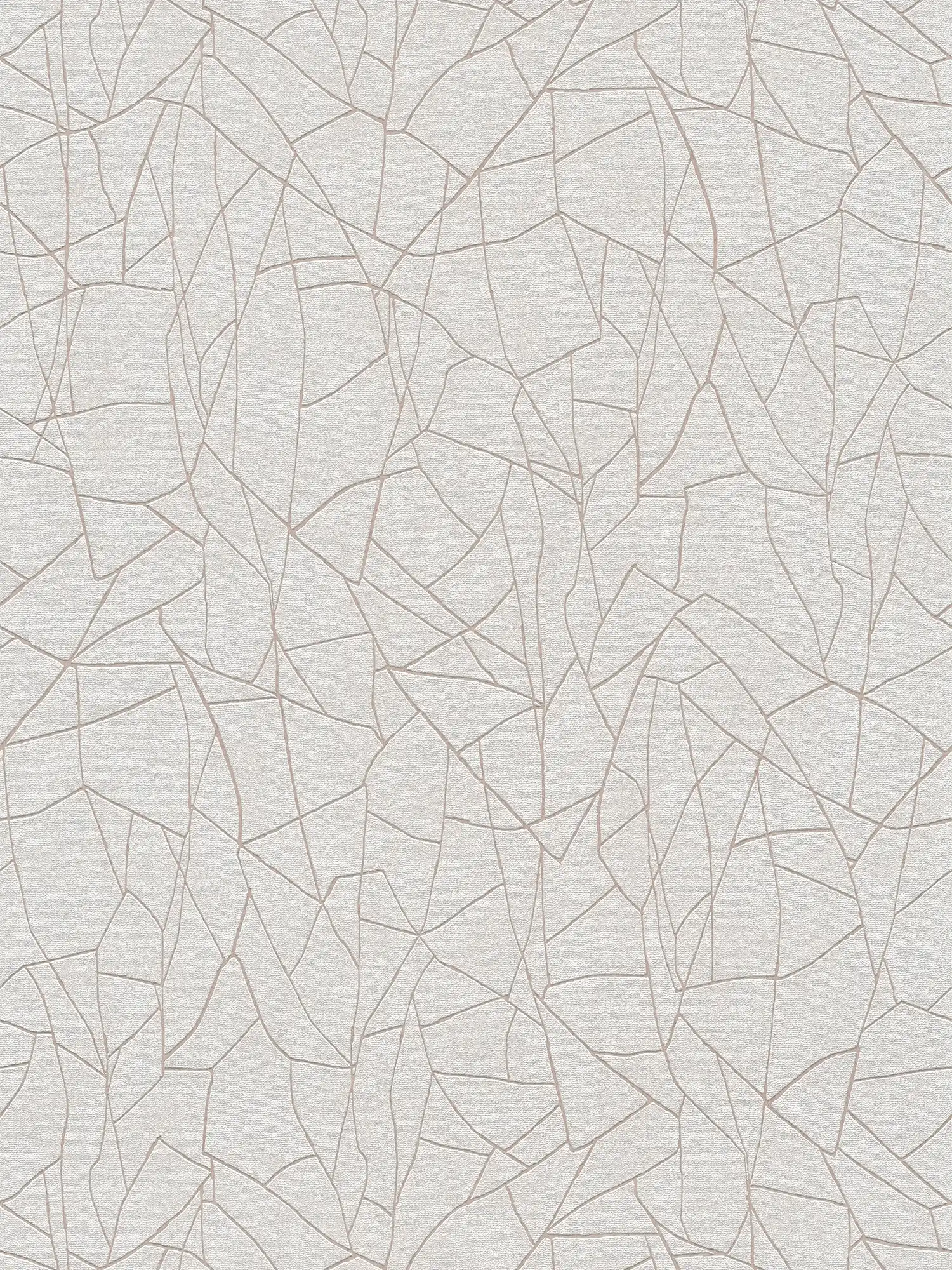 Vliestapete mit grafischem 3D Naturmotiv – Grau, Weiß
