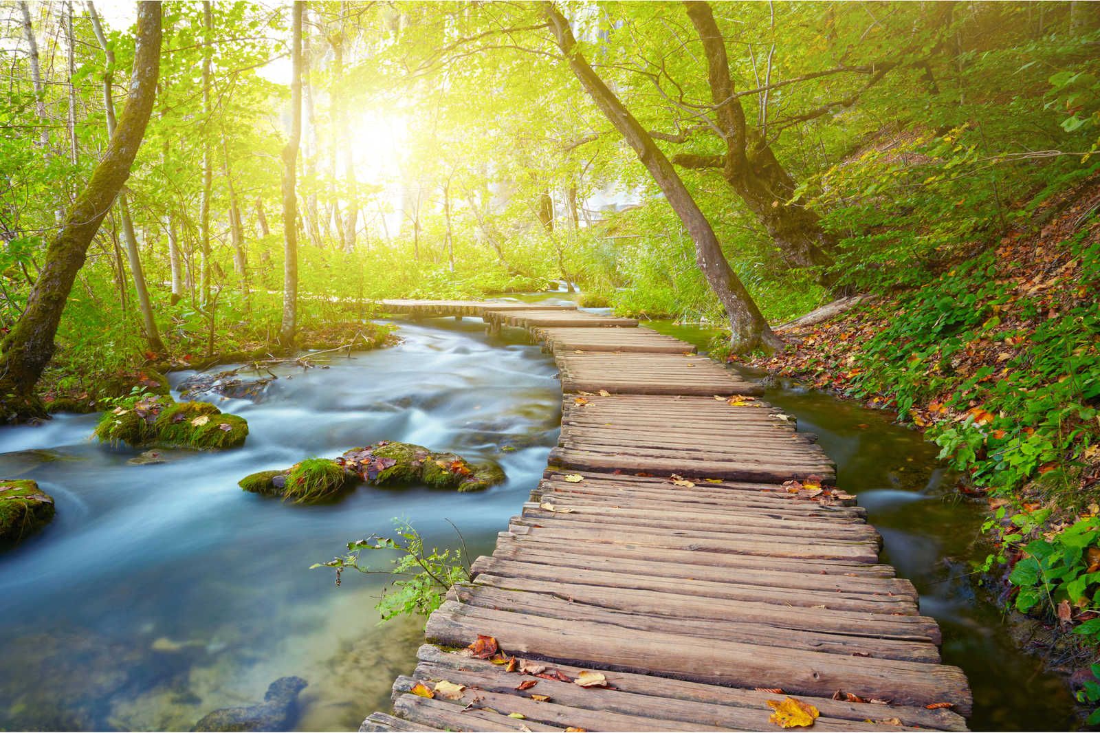             Leinwandbild Fluss mit Steg im Wald bei Sonnenaufgang – 1,20 m x 0,80 m
        