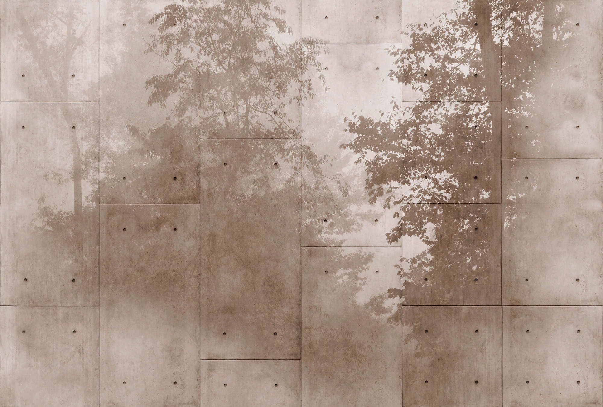             Fototapete »mytho« - Baumkronen auf Betonplatten – Glattes, leicht glänzendes Premiumvlies
        