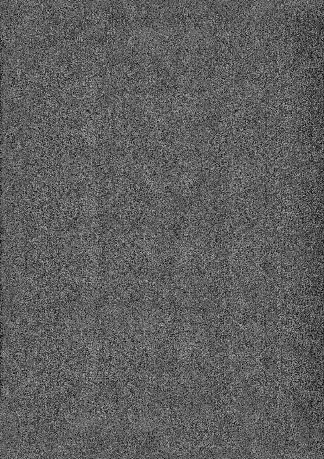             Flauschiger Hochflor Teppich in Anthrazit – 340 x 240 cm
        