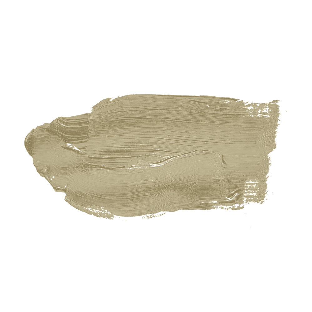             Wandfarbe in zartem Khaki »Pretty Pistachio« TCK4012 – 2,5 Liter
        