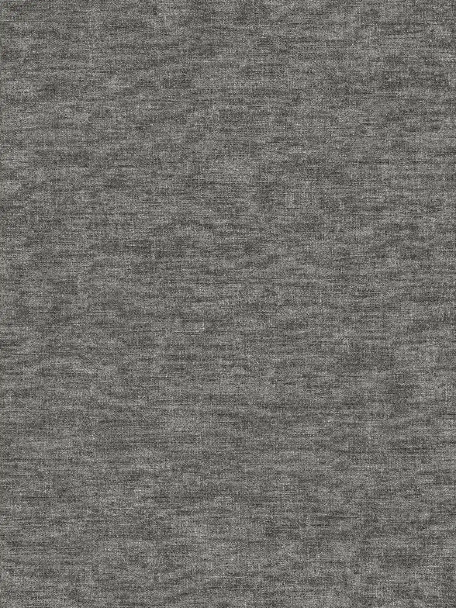             Einfarbige Vliestapete in Putzoptik – Schwarz, Grau
        