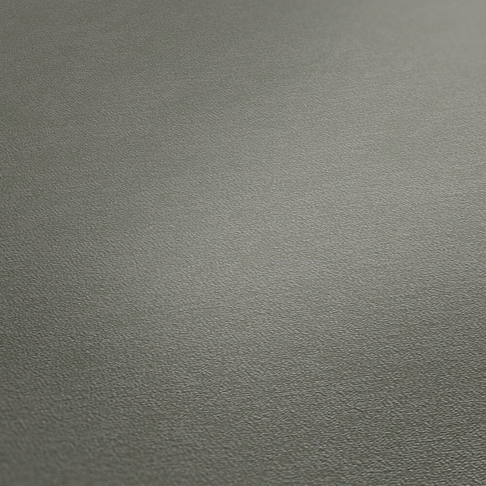             Vliestapete einfarbig Oberfläche fein strukturiert – Grau
        
