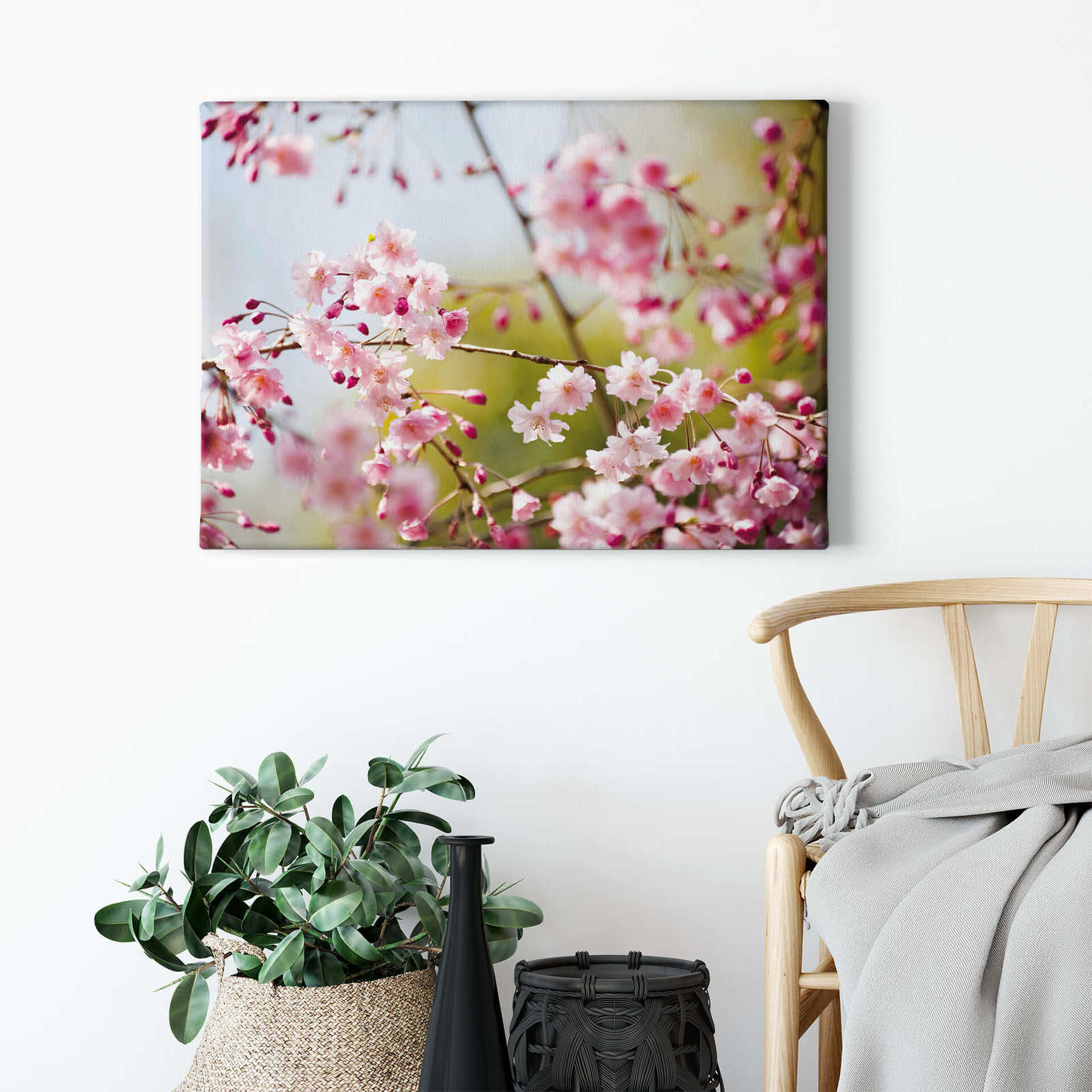 DD123038 Leinwandbild Motiv Natur • | Kirschblüten