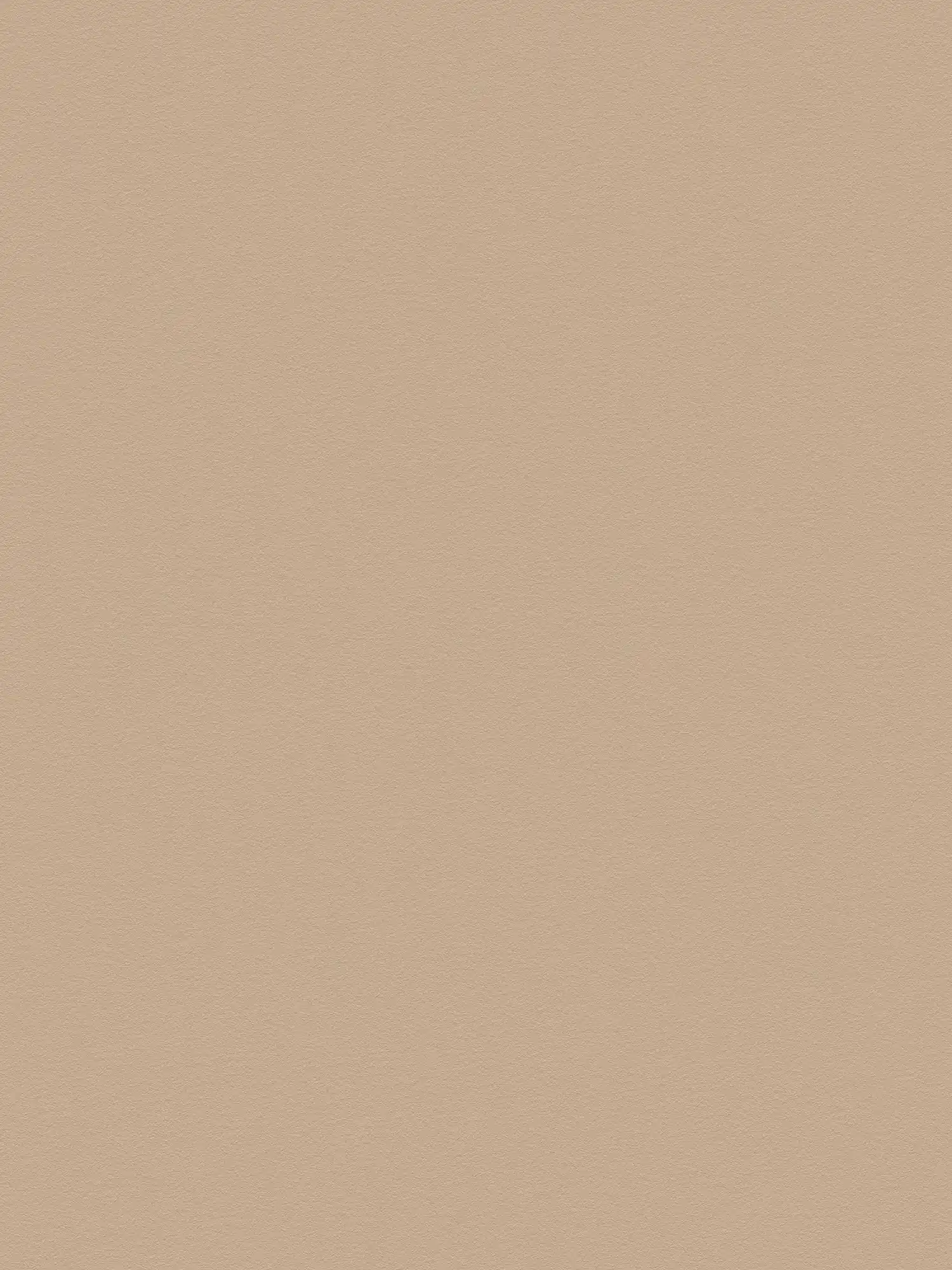 Einfarbige Tapete Hellbraun mit glatter Oberfläche – Beige, Braun

