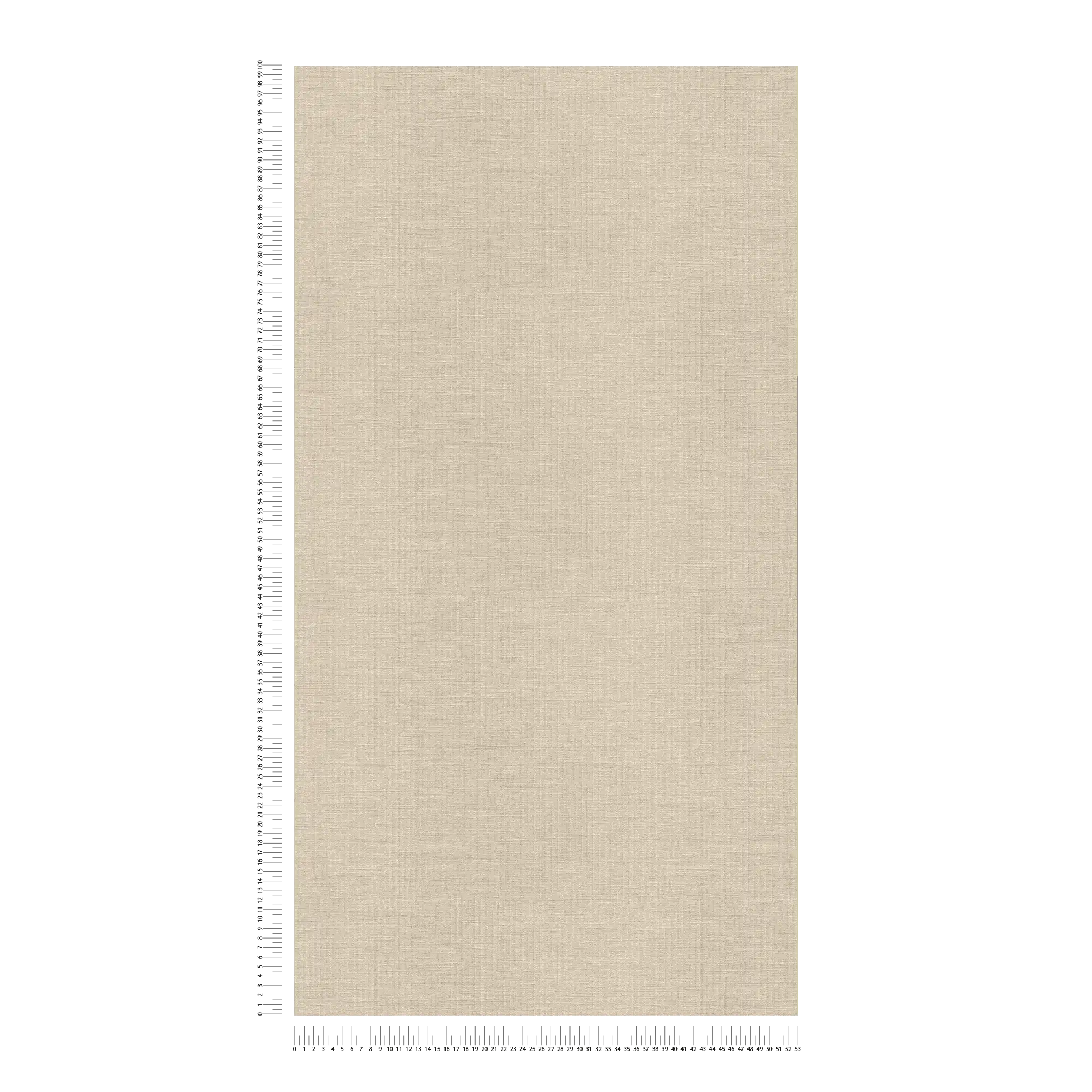             MICHALSKY Vliestapete Uni in warmen Farbton – Beige
        