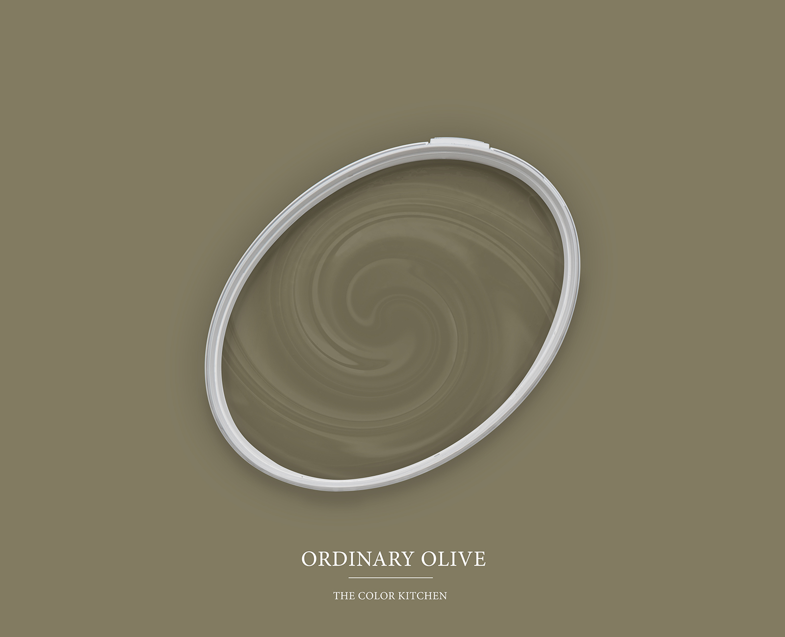         Wandfarbe in intensivem Olivton »Ordinary Olive« TCK4013 – 2,5 Liter
    