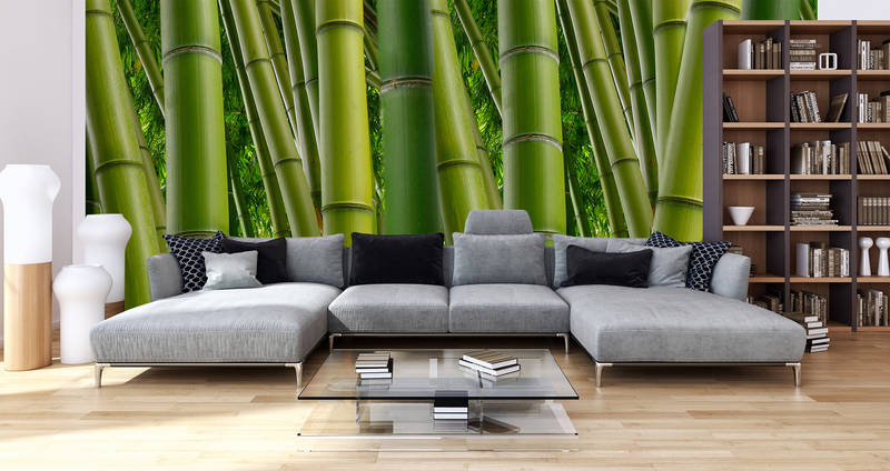             Natur Fototapete Bambus in Grün – Mattes Glattvlies
        